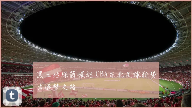 黑土地绿茵崛起 CBA东北足球新势力逐梦之路